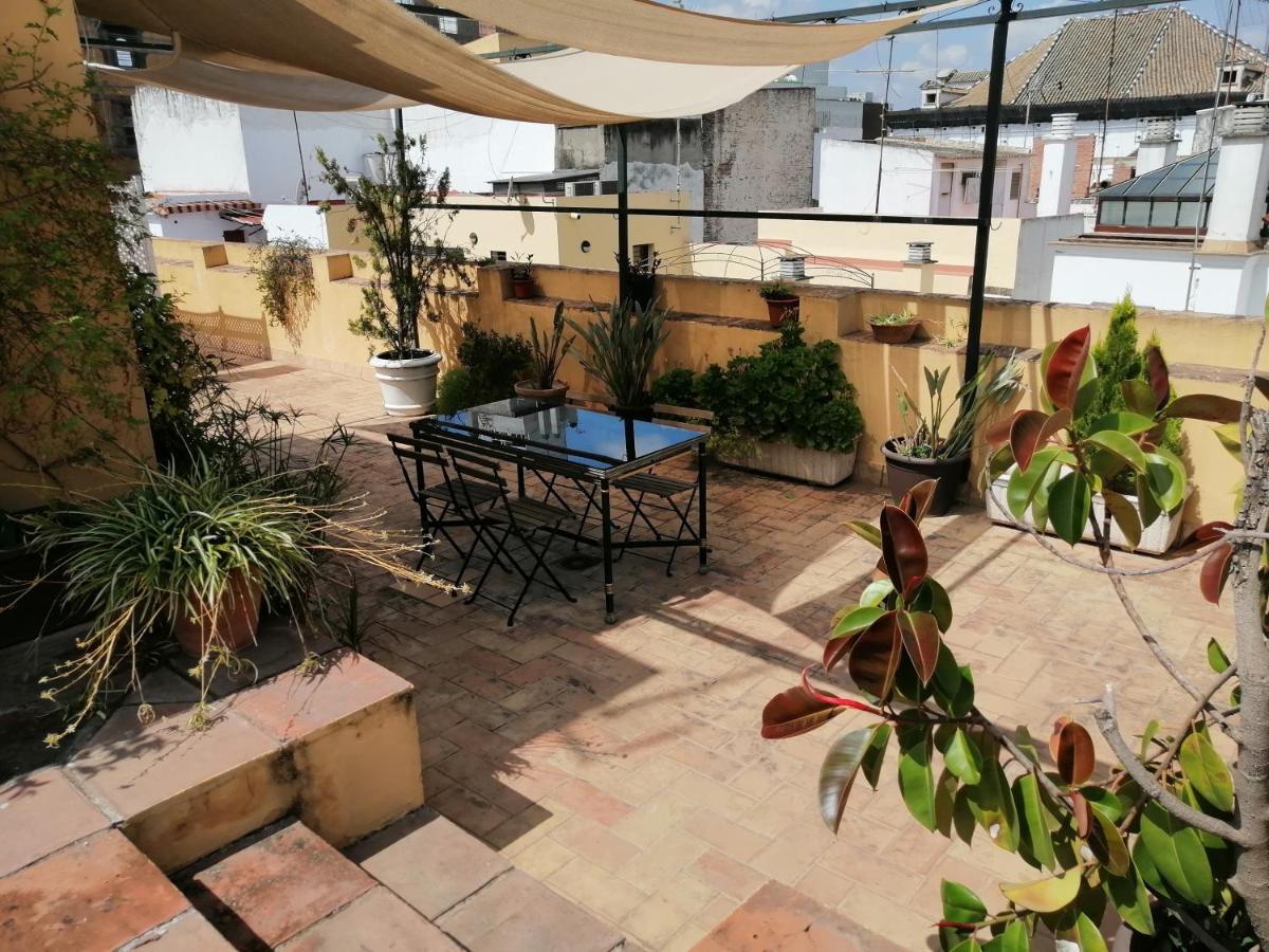 Tourist House Trajano Terraza-Piscina Apartment Sevilla Bagian luar foto